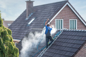 roof services
