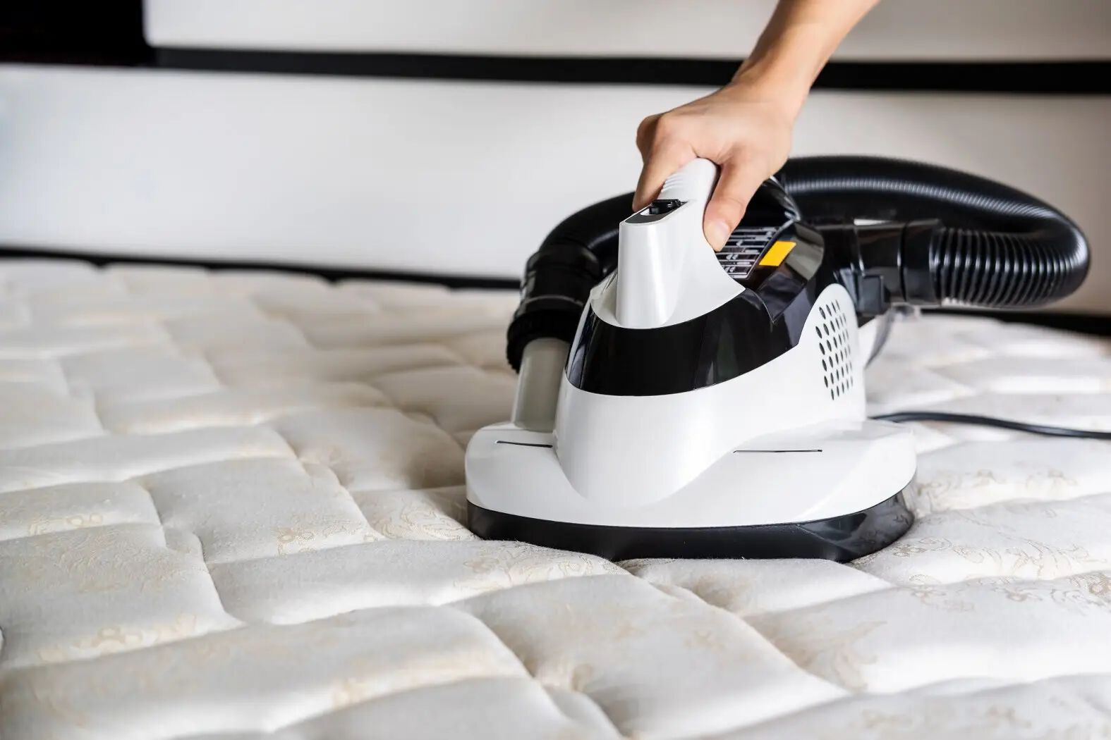 Modern Methods Made Easy Quick and Eco-Friendly Ways to Get Rid of Your Mattress